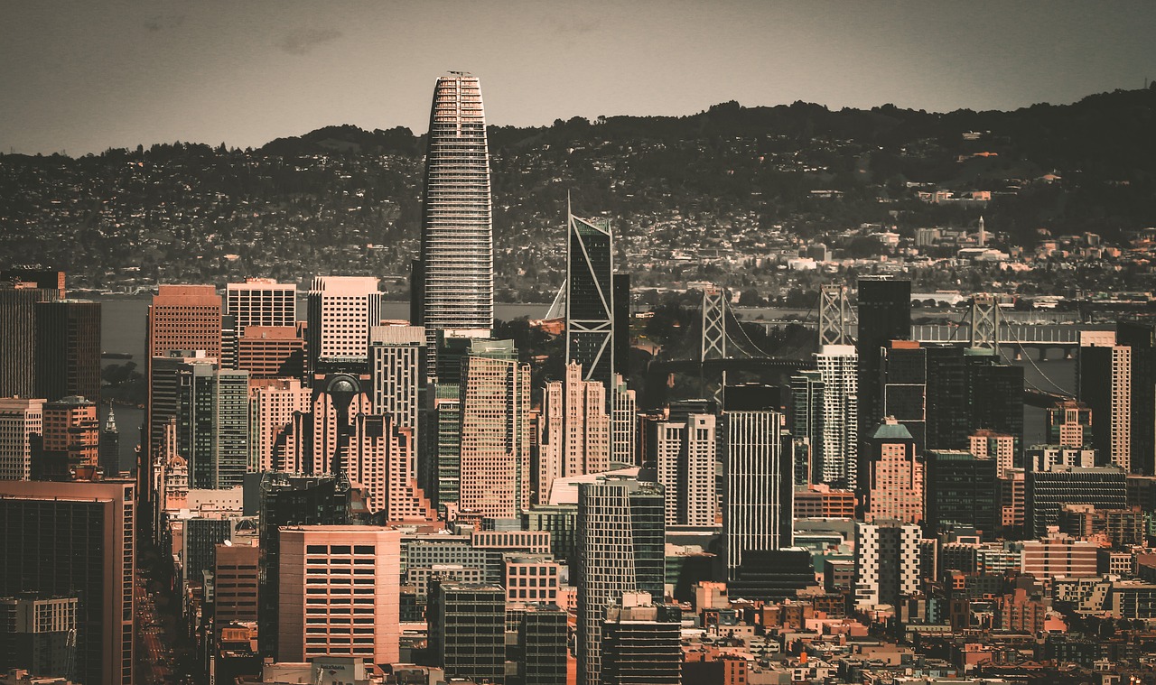 或许有人会 或许有人会