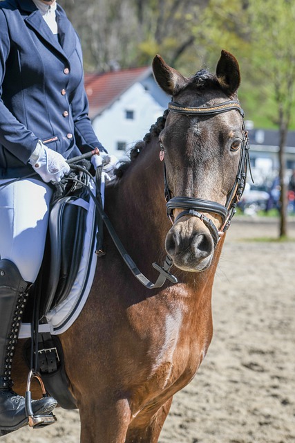 的一个重要 的一个重要