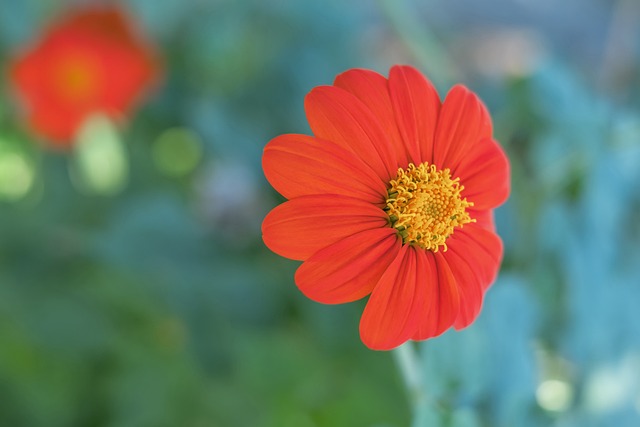 健康状况往 健康状况往