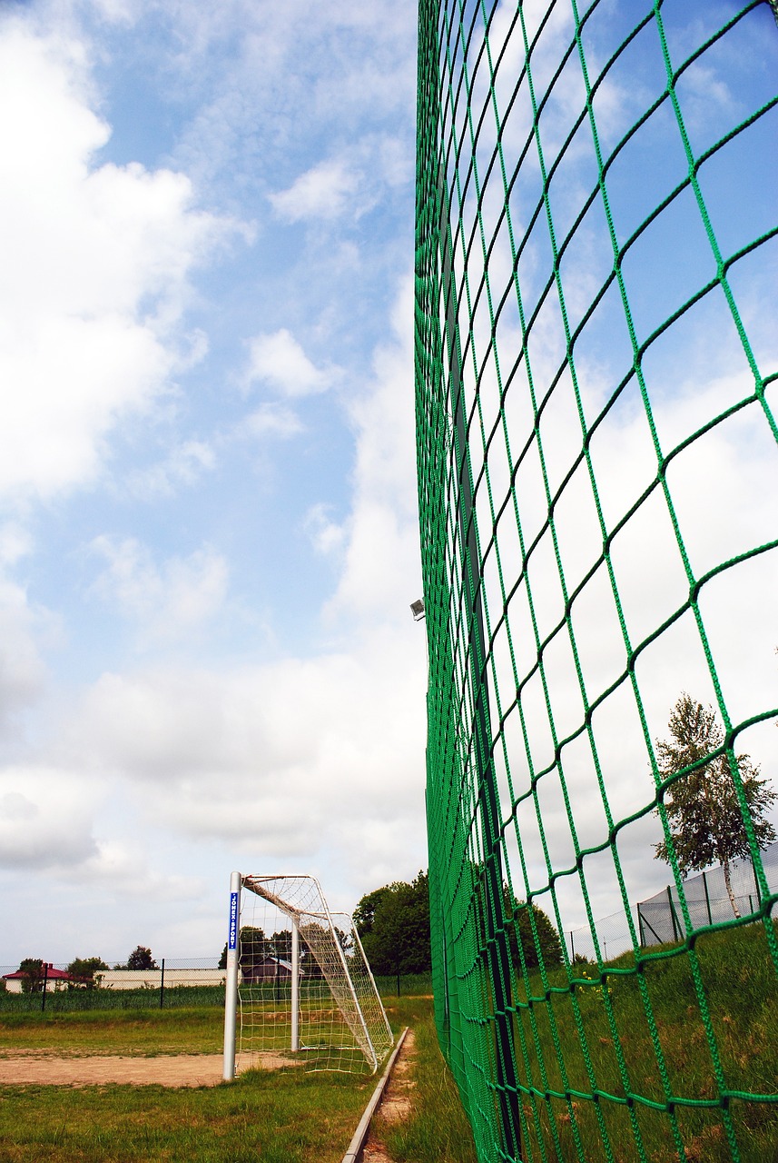 米希大放异 米希大放异