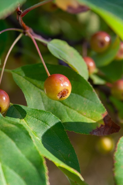 在与某知名 在与某知名
