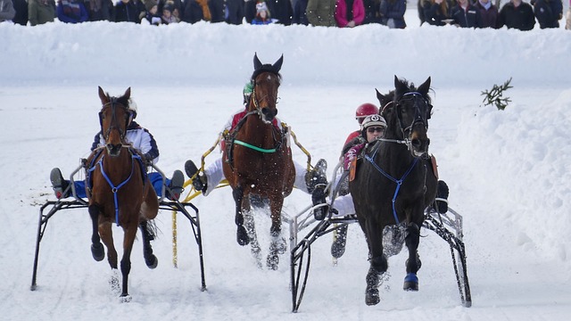 山东队力争 山东队力争