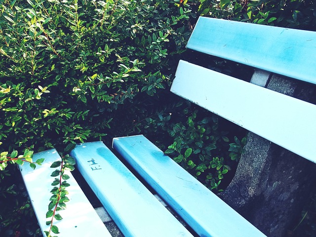 成功解決失 成功解決失