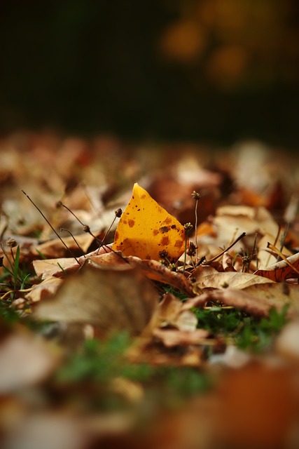 如今看来 如今看来